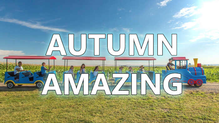 Vibrant Fall Day brings Houston sunshine mixed with air quality woes, allergies, and fire risks