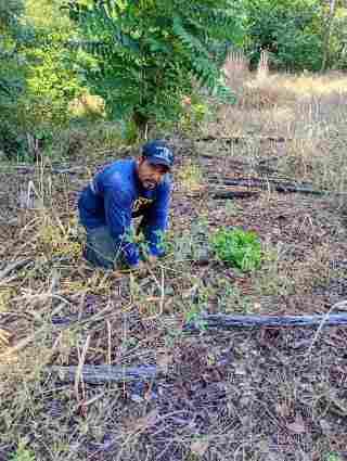 Destinan más de 8 mil árboles para reforestación de San Juan Cotzocón
