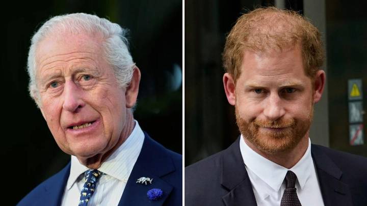 ‘It’s a mess’: Prince Harry and King Charles gridlocked over plans for royal peace summit