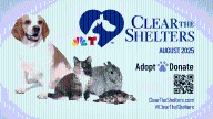 How to donate to the Clear The Shelters pet adoption campaign