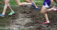 20 area teams in latest state XC rankings