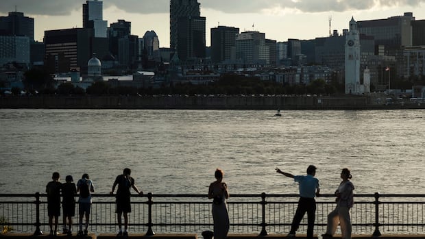 Montreal's next mayor faces big problems. How much power do they have to fix them?