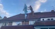 Dancer's disastrous dolphin roof swimming pool jump caught on camera