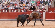 Diego Ventura “sube la temperatura” de La Glorieta con ‘Quirico’ y ‘Bronce’ ante la tromba de agua con la que lidió Rui Fernandes antes de la suspensión del festejo