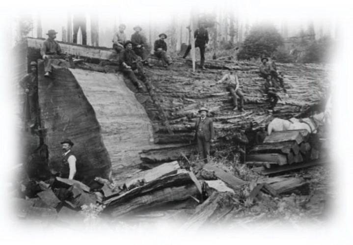 In Days Gone By: Wages varied greatly in early logging operations