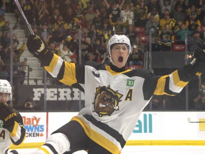 Brantford Bulldogs defeat Peterborough Petes in home opener