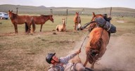 Ride to Survive: Livingston man saddles second place in world’s longest horse race