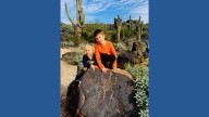 Community members in North Phoenix frustrated after ancient petroglyphs removed
