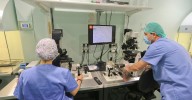 El futuro de la medicina reproductiva se debate en unas jornadas en Málaga el 2 y 3 de octubre