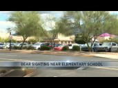 Bear sighting near elementary school prompts safety measures