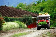 La Despensa de La Ruta del Abasto La Ruta del Abasto y el sistema de patentes de invención