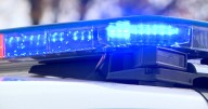 Dog injury under investigation in Missoula