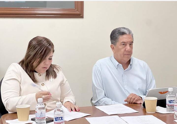 Llevarán a consulta 17 iniciativas en materia de derechos de personas con discapacidad