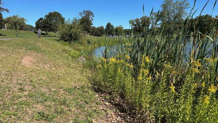 Allergy season could be longer, more intense
