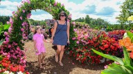 Long Island farm fall festivals add new activities with beloved attractions