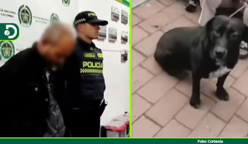 Indignación en Bogotá: capturan a hombre señalado de robar mascotas de sus vecinos para maltratarlos y abusarlos