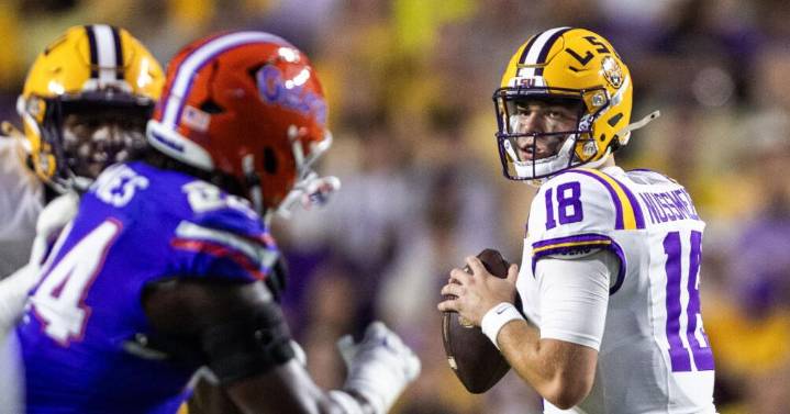 LSU-Southeastern predictions: Here's what our LSU beat team expects to see in Week 4