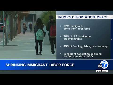 1.2 million immigrants are gone from the US labor force under Trump