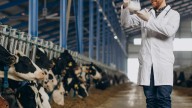 Histórica empresa argentina de lácteos está al borde de la quiebra: ¿Cuáles son las razones?