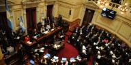 Complejo panorama para el Gobierno en el Senado con la emergencia pediátrica y el presupuesto universitario