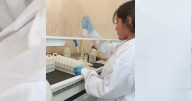 Perumin 2025: becaria del Pronabec llevará experiencias de biofortificación de cultivos contra la desnutrición