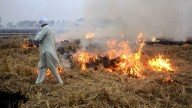 From Happy Seeders To Bio-Decomposers: Expert Outlines Sustainable Alternatives To Stubble Burning