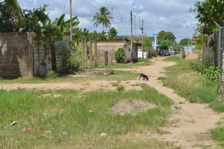 Vecinos del sector 4 de Febrero claman por asfalto
