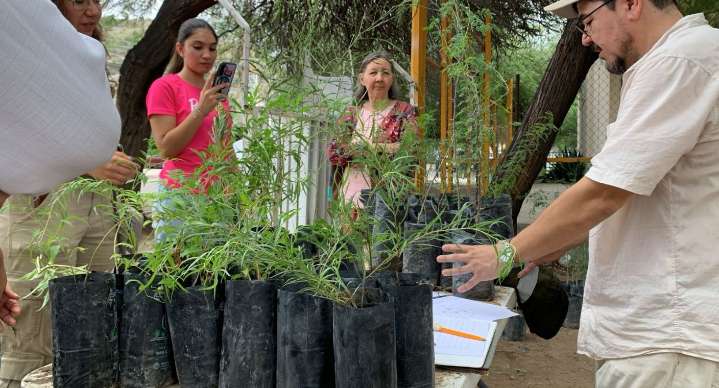 Entrega Vivero Municipal desde árbol de chiltepín hasta palo verde a ciudadanos en última donación de plantas endémicas en Hermosillo