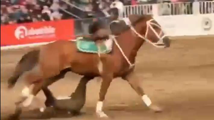 Video | Carabinero sufre grave caída desde un caballo durante una presentación en el Parque Padre Hurtado