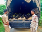 4 dacoits killed in police encounter along Meghalaya