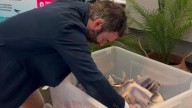 VÍDEO: Así se realiza el sorteo del verano de LA NUEVA ESPAÑA