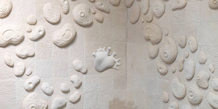 Arte y biotecnología se fusionan en la colaboración de MOSH y Cabinet Oseo