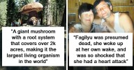72 Terrifying Facts And Stories That Show Just How Strange And Dark Our World Can Be