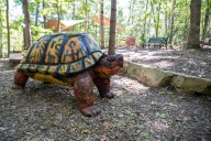 Una tortuga de madera en el Arboretum: del huracán al arte