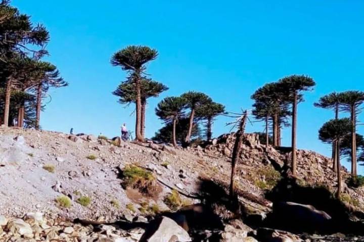 Cicloturismo y trekking: una travesía única por Pino Hachado
