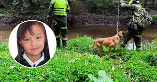 Medicina Legal confirmó que la pequeña Valeria Afanador, de 10 años, murió por ahogamiento