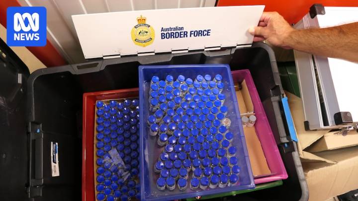Authorities arrest 17 and seize $1.5m worth of steroids as part of six