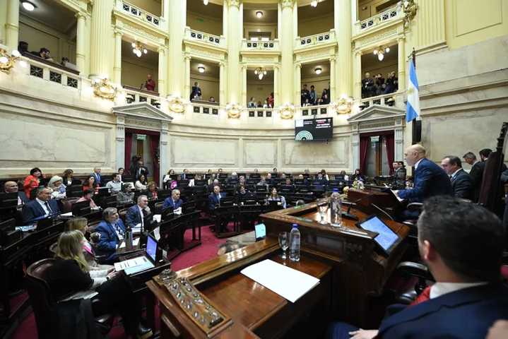 El Senado rechazó el veto a la emergencia en Discapacidad