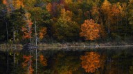 How government shutdown could impact Acadia, other national parks