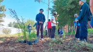 Impulsan jardines polinizadores en Tetlanohcan