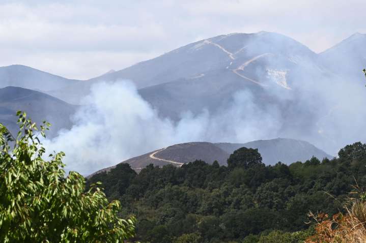 Los incendios están debilitando el sumidero natural de carbono en Europa, según un informe