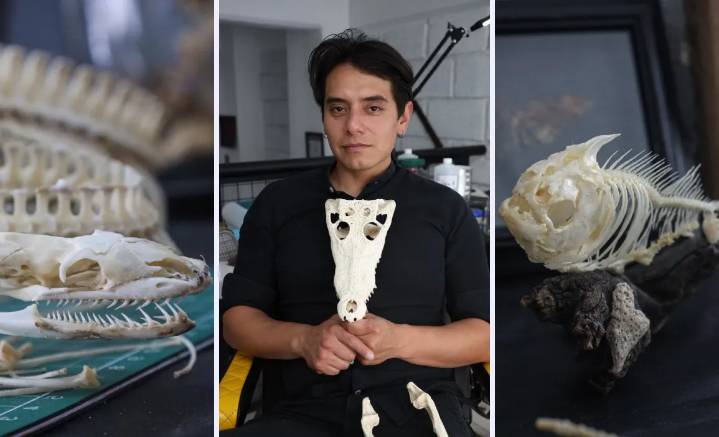 Arte eterno: huesos, accesorios y más en el taller de Cadavre Exquiz
