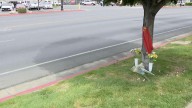 Suspected DUI driver who hit and killed 'heroic' husband on sidewalk is charged