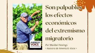 Son palpables los efectos económicos del extremismo migratorio 