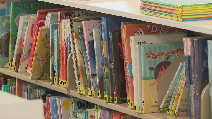 State Library of Ohio among libraries awaiting court decisions, congressional votes on funding