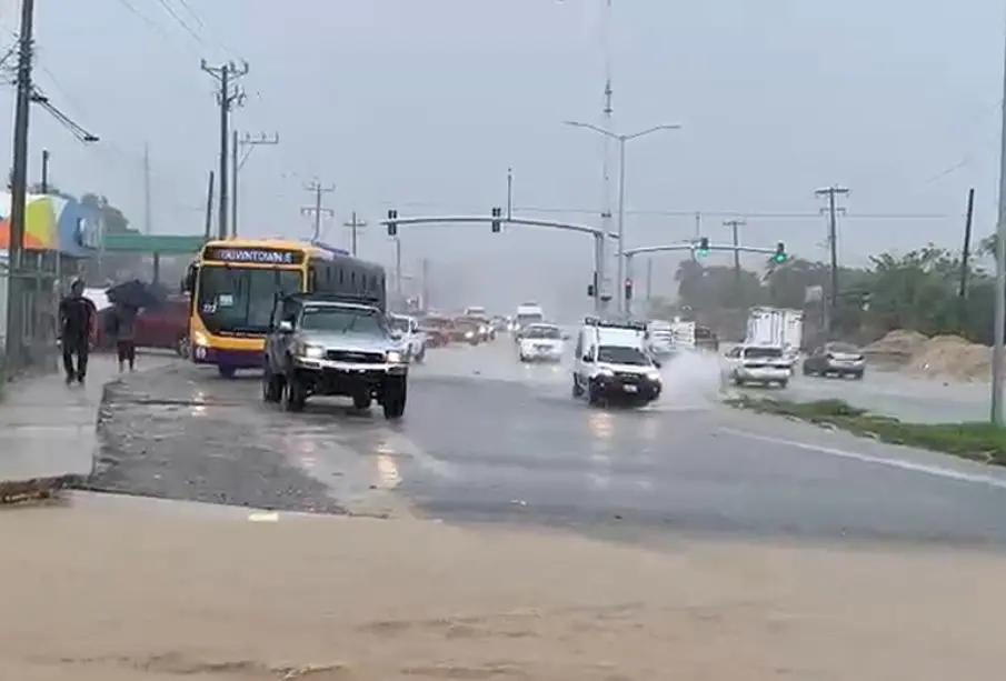 Transporte público opera con limitaciones en Los Cabos