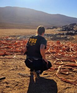 Operativo de la PDI permitió el hallazgo de más de cuatro toneladas de cableado de cobre