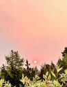 Wildfire smoke makes it to Shoreline - clouded skies and orange moon