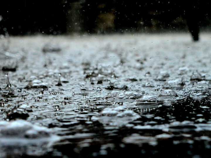 Clima hoy en Tampa, Estados Unidos: el pronóstico del tiempo para este viernes 5 septiembre de 2025