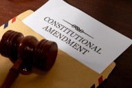 Govt assures on 125th Amendment for ANVC pact